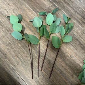 24 eucalyptus branches